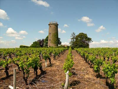 Haye fouassiere la route des vins entre ocean et champtoceaux pays nantais guide du tourisme de loire atlantique