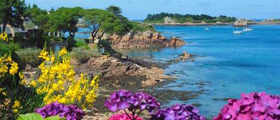 Ile de brehat ile aux fleurs routes touristiques dans les cotes d armor guide du tourisme en bretagne