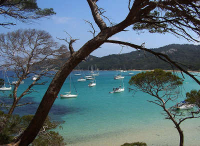 Ile de porquerolles plage de notre dame routes touristiques du var guide du tourisme de la provence alpes cote d azur