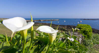 Ile molene le long de la cote les routes touristiques dans le finistere guide du tourisme en bretagne