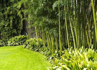 Jardin de planbuisson a le buisson de cadouin jardin remarquable en dordogne guide du tourisme en dordogne nouvelle aquitaine