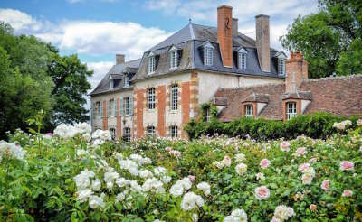 Jardins de la javeliere jardin remarquable routes touristiques dans le loiret guide du tourisme centre v