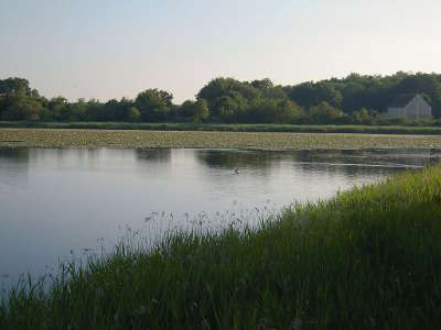 L etang de la sous dans la reserve naturelle nationale de cherine en 2014 le parc naturel regional de la brenne guide touristique de l indre crentre val de loire