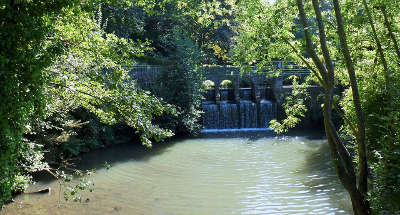 L hogneau dans le bois d encade l avesnois guide touristique du nord nord pas de calais