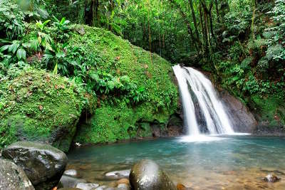 La cascade aux ecrevisses route de la traversee guide du tourisme de la guadeloupe outre mer