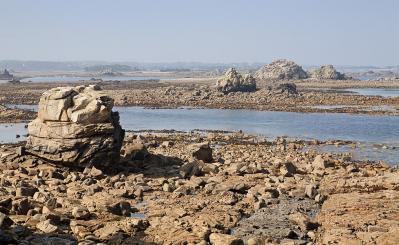 La cote des ajoncs routes touristiques dans les cotes d armor guide du tourisme en bretagne