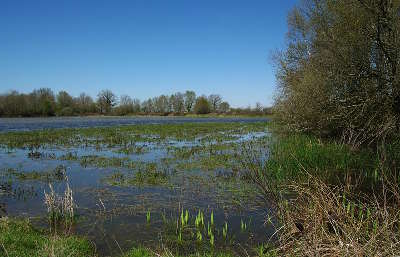 La dombes routes touristiques de ain guide du tourisme de rhone alpes