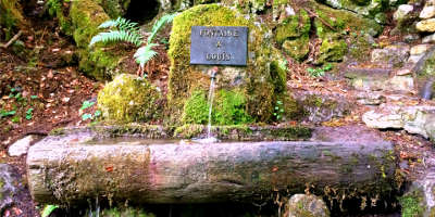 La fontaine a louis sur la route de l absinthe pres de motiers routes touristiques du doubs guide touristique franche comte