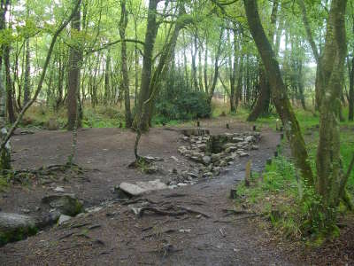 La fontaine de barenton routes touristiques dans l ille et vilaine guide du tourisme en bretagne