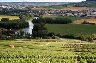 La marne au sud du parc parc naturel regional de la montagne de reims guide du tourisme de la marne