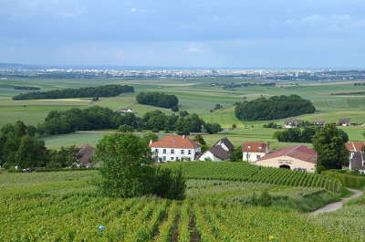 La montagne de reims domine la ville eponyme la route touristique du champagne la montagne de reims