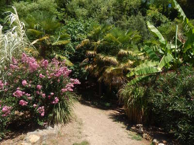 La roque gageac jardins exotiques plus beaux villages de france routes touristiques de la dordogne guide touristique de nouvelle aquitaine