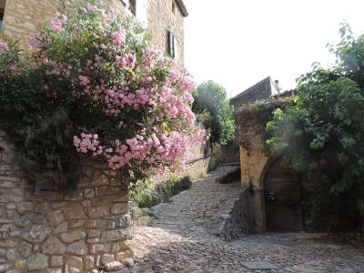 La roque sur ceze ruelles et ses calades plus beaux villages routes touristiques du gard guide touristique du languedoc roussillon