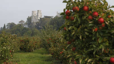 La route des fruits guide du tourisme de normandie