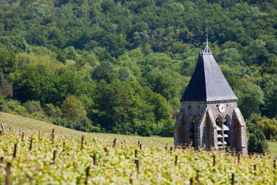 La route touristique du champagne cote des bar