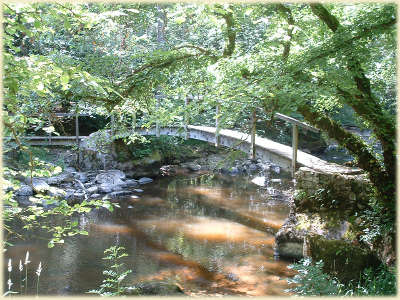 La vallee cousin le pont des gard parc naturel regional du morvan guide touristique de la bourgogne