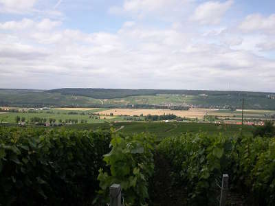 La vallee de la marne parc naturel regional de la montagne de reims guide du tourisme de la marne