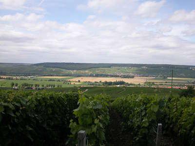 La vallee de la marne parc naturel regional de la montagne de reims guide du tourisme de la marne