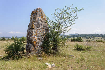 Le causse mejean parcours touristique en languedoc roussillon