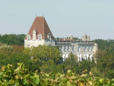 Le cognac et le fleuve etape sur la route du vignoble de cognac