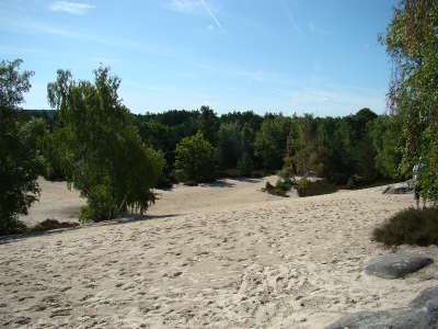 Le cul de chien fontainebleau parc naturel regional du gatinais francais guide touristique de la seine et marne ile de france