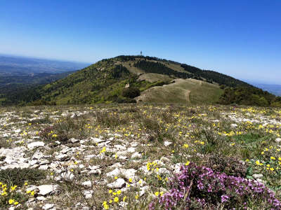 Le mourre negre dans le luberon routes touristiques du vaucluse guide du tourisme de provence alpes cote d azur