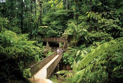 Le parc national de la guadeloupe guide du tourisme de basse terre guadeloue