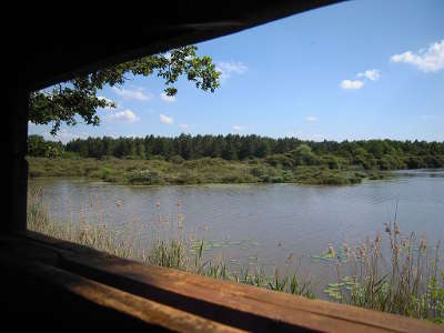 Le parc naturel regional de la brenne l observatoire de l etang de bellebouche en 2014 guide du tourisme de l indre centre val de loire