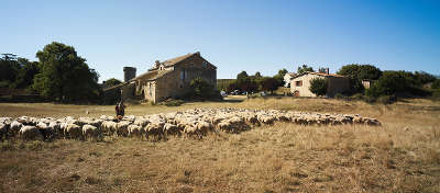 Le parc naturel regional des grands causses guide du tourisme de l aveyron midi pyrenees