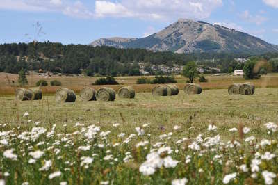 Le parc naturel regional des prealpes d azur a mi chemin entre le massif alpin et la cote mediterraneenne route touristique des alpes maritimes guide du tourisme des alpes maritime