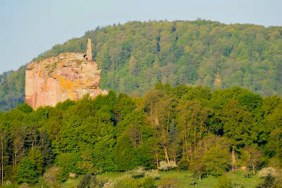 Le parc naturel regional des vosges du nord routes touristiques guide du tourisme