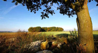 Le parc naturel regional du gatinais francais guide du tourisme de l ile de france