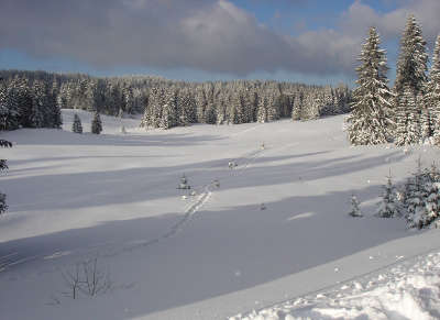 Le parc naturel regional du haut jura guide du tourisme