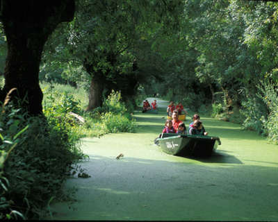 Le parc naturel regional du marais poitevin la venise verte guide du tourisme du pays de la loire