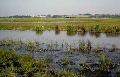 Le parc naturel regional du marais poitevin la venise verte guide du tourisme du poitou charente