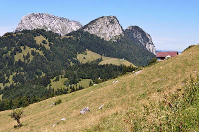 Le roc des b ufs et le cret du char dans le parc naturel regional du massif des bauges guide du tourisme en savoie rhone alpes