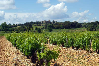 Le terroir de galets roules de chateauneuf du pape route des vins des cotes du rhone