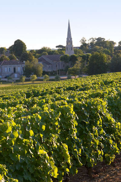 Le vignoble sauternais route des graves route des vins de bordeaux guide du tourisme de la gironde aquitaine