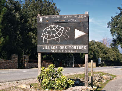 Le village des tortues de moltifau parc naturel regional de corse guide du tourisme de la corse