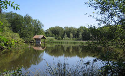 Les etangs de bonnelles classes en reserve naturelle regionale guide du tourisme de l ile de france