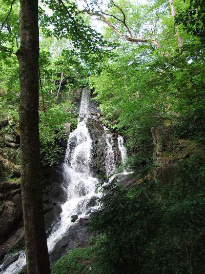 Lormes les gorges de narvau routes touristiques dans l yonne guide du tourisme en bourgogne