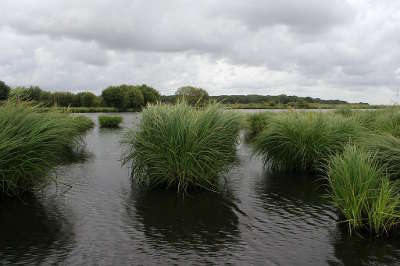 Marais de la grande briere guide du tourisme de la loire atlantique pays de la loire