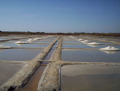 Marais salants de guerande routes touristique de loire atlantique guide du tourisme des pays de la loire