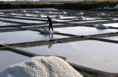 Marais salants de guerande travail du paludier routes touristique de loire atlantique guide du tourisme des pays de la loire