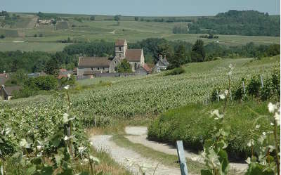 Massif de saint thierry eglise de prouilly au pied des vignes route du massif de saint thierry et la vallee de l ardre guide touristique de la marne