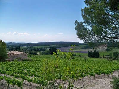 Mondragon vignoble du massif d uchaux route des vins d orange a vaison la romaine