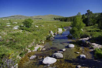 Mont lozere les cevennes guide du tourisme de lozere