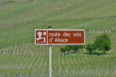 Panneau indicateur route des vins d alsace guide du tourisme de l alsace