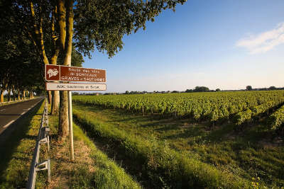 Panneaux de signalisation de la route des graves route des vins de bordeaux guide du tourisme de la gironde aquitaine