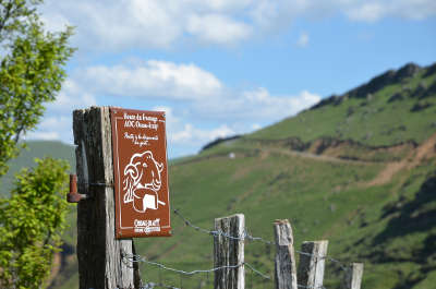 Panneaux sur la route du fromage a o p ossau iraty